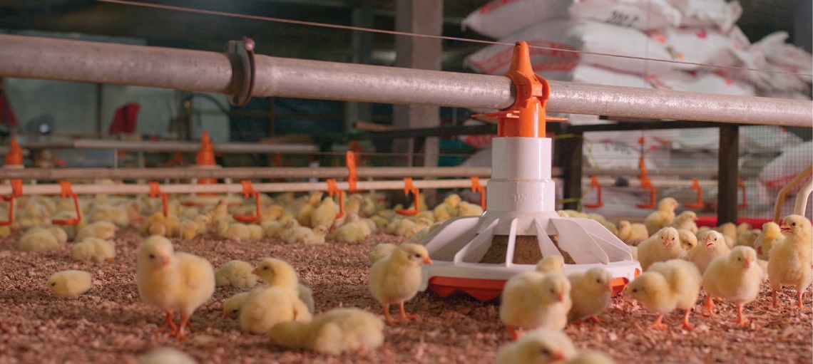 Vista 330 feed pan is designed for controlled and optimal broiler feeding.