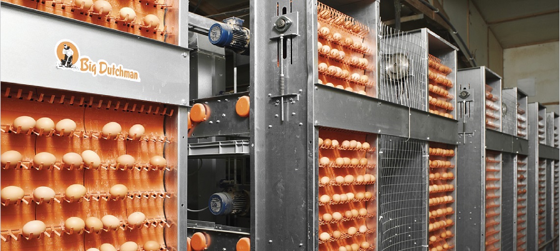 EggCellent elevator is a high capacity system for simultaneous collection of eggs from up to 8 tiers. 