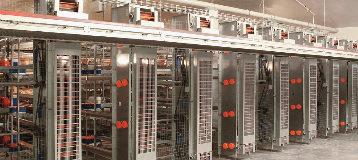 ST Elevator is a high capacity system capable of handling up to 15,500 eggs an hour. 