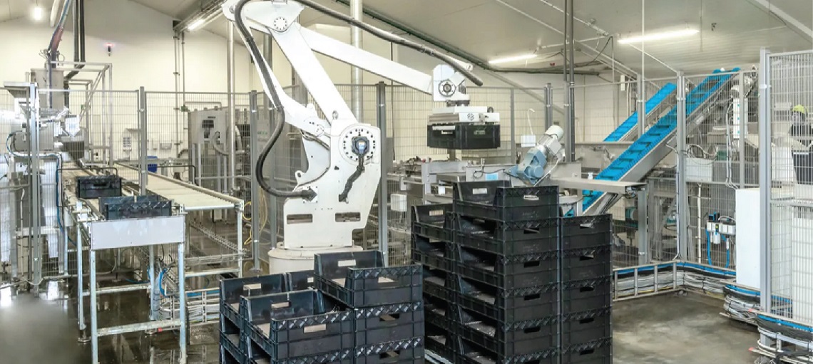 A modern, climate-controlled BSF hatchery and production facility.
