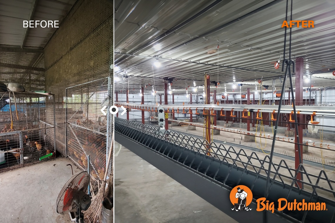 Comprehensive upgrade to a modern house with integrated solutions 