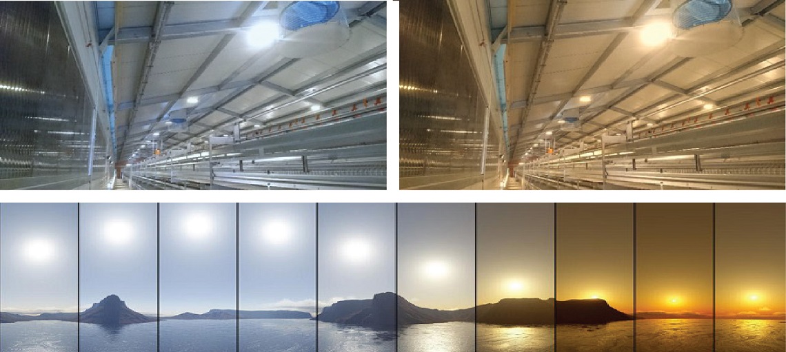 Cool lighting promotes activity whereas warm lighting encourages growth.
