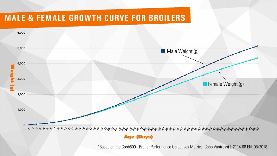 Male & Female broiler Growth Curve - Based on the Cobb500 - Broiler Performance Objectives Metrics (Cobb Vantress) L-2114-08 EN: 08/2018