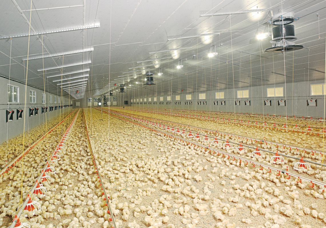 farm designs made for high performance and large stocking densities, ensuring good health and growth