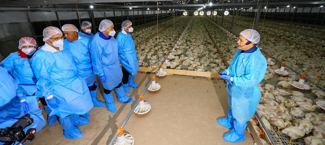 Close collaboration between Big Dutchman and Felcra resulted in a high-tech broiler facility. 