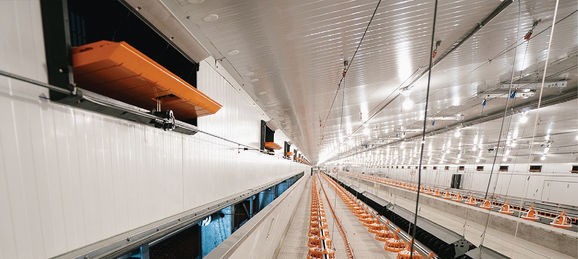 Proper ventilation helps in maintaining the most ideal environment for broilers.