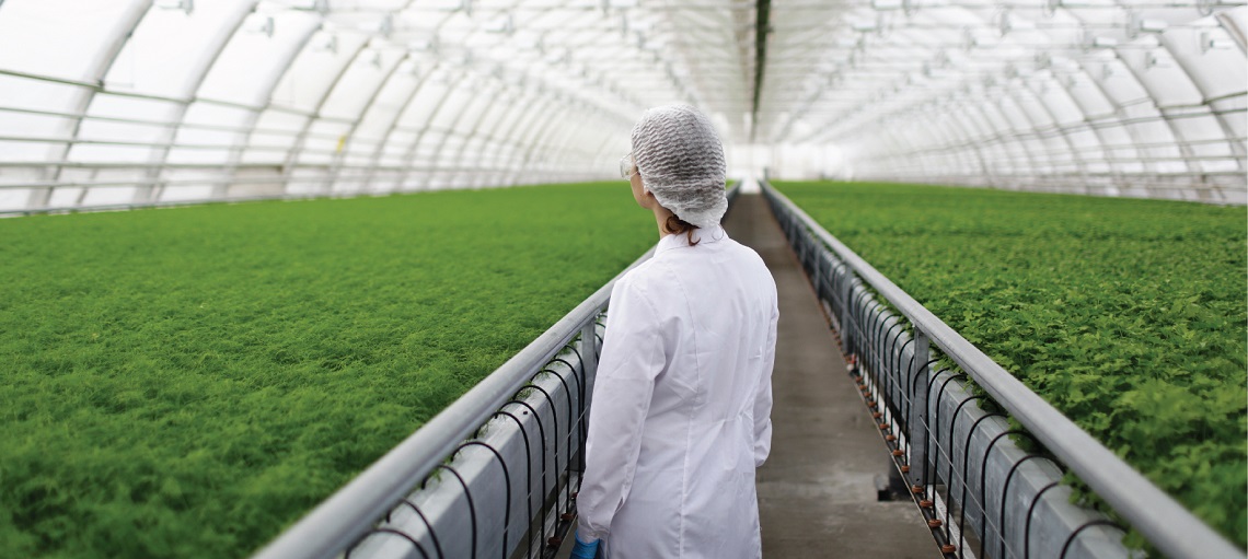 In Controlled Environment Farming all environmental variables are precisely managed. 
