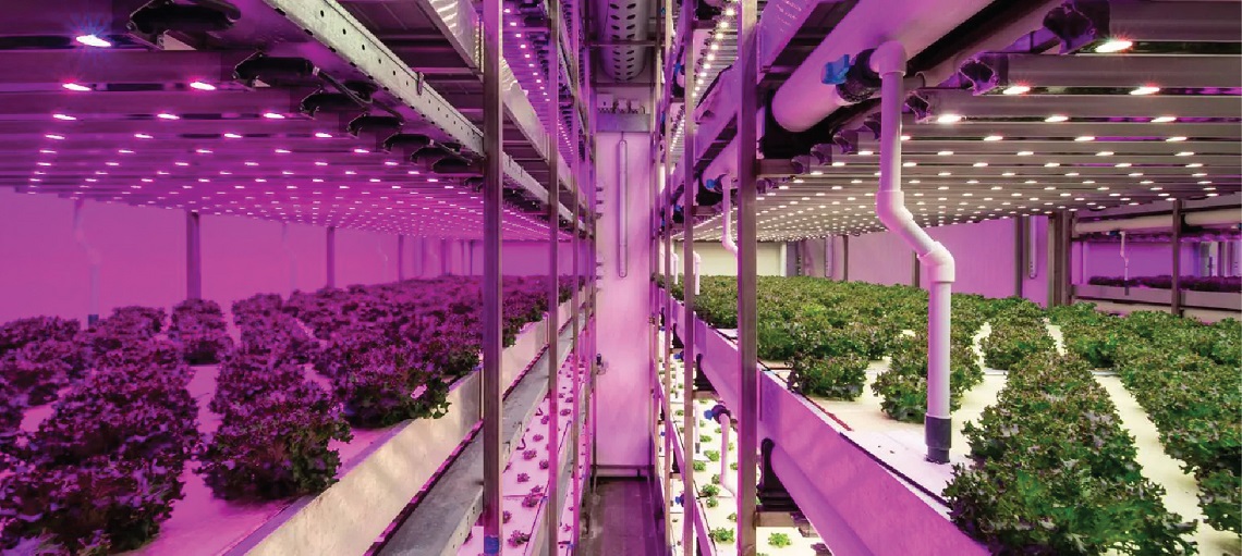 Greenhouses are in-built with advanced technologies.
