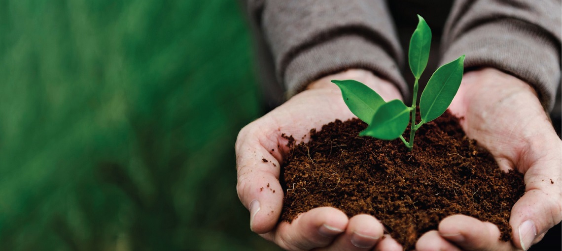 Controlled Environment Farming reduces environmental impact and helps preserve natural resources.
