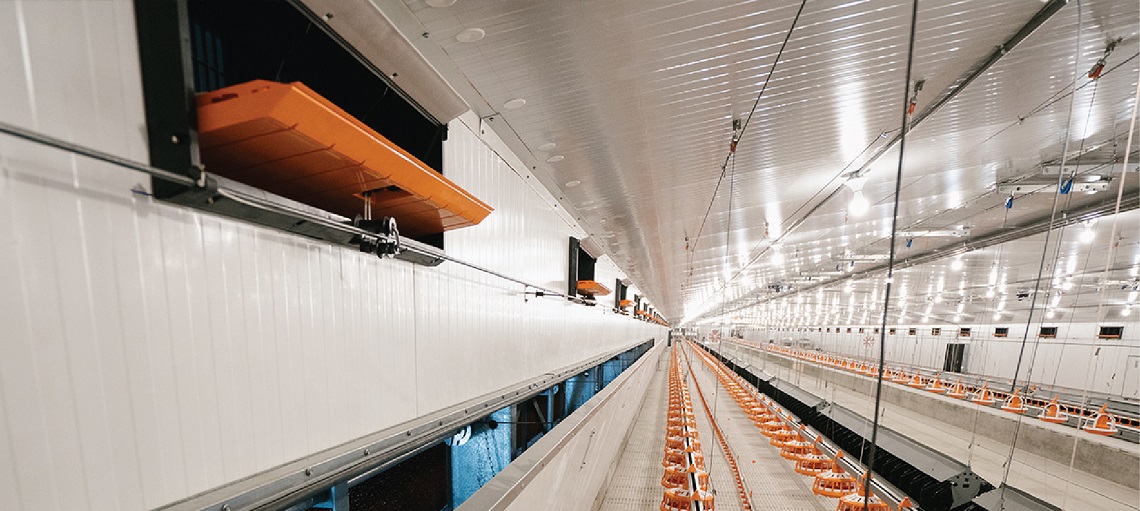 Precise environmental control is key to maintain chick comfort.