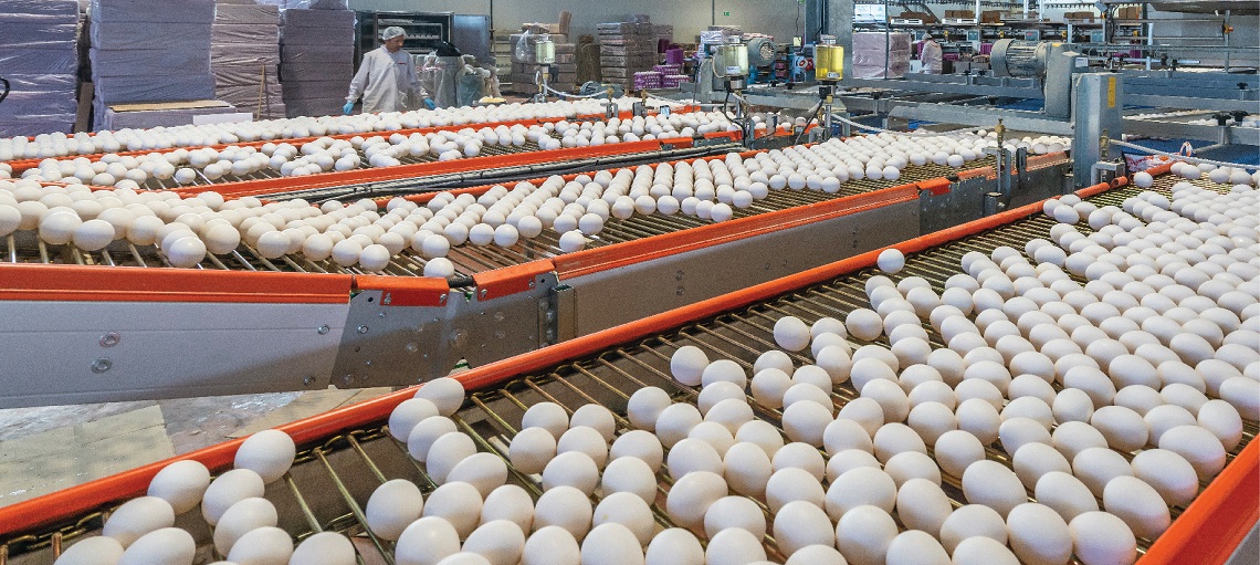 Digital EggFlow features automation, digital visualisation and smart controls 