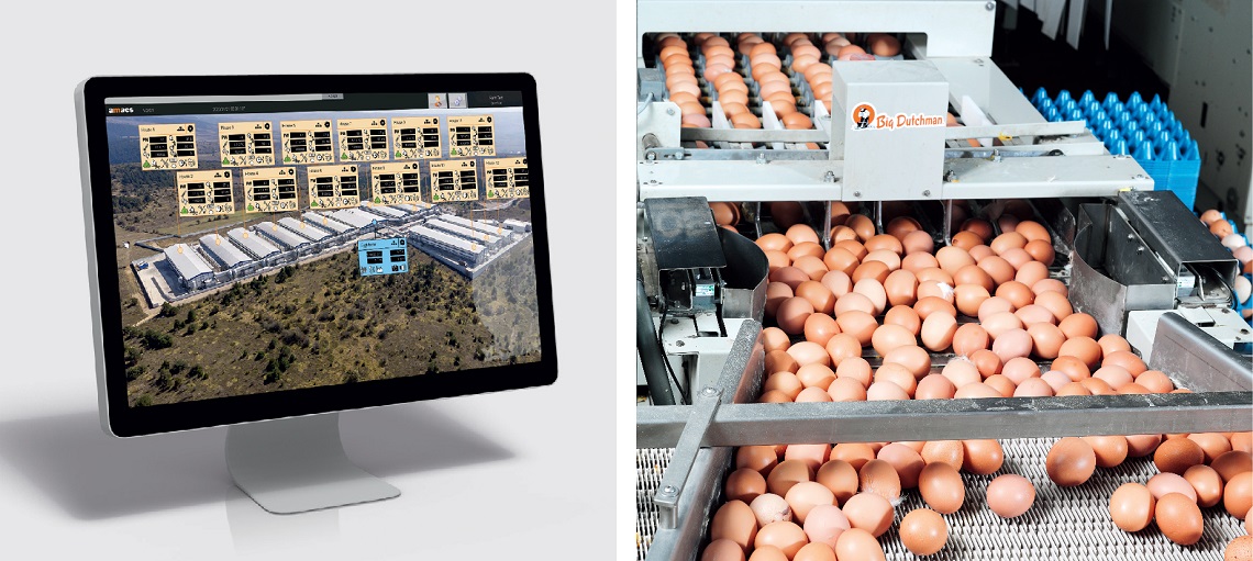 Digital EggFlow allows farmers to monitor egg collection in real time   
