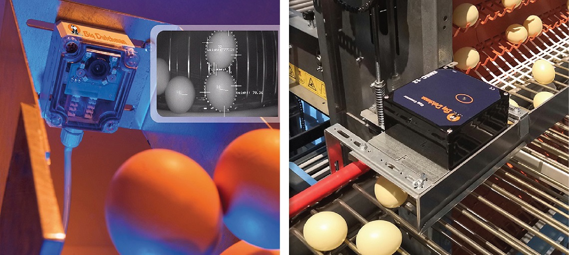 Digital EggFlow featured advanced camera-based counters for high accuracy 