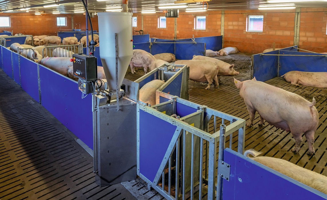 Call-Inn pro: fully automated and compact feeding setup, designed to fit efficiently into various farm space configurations
