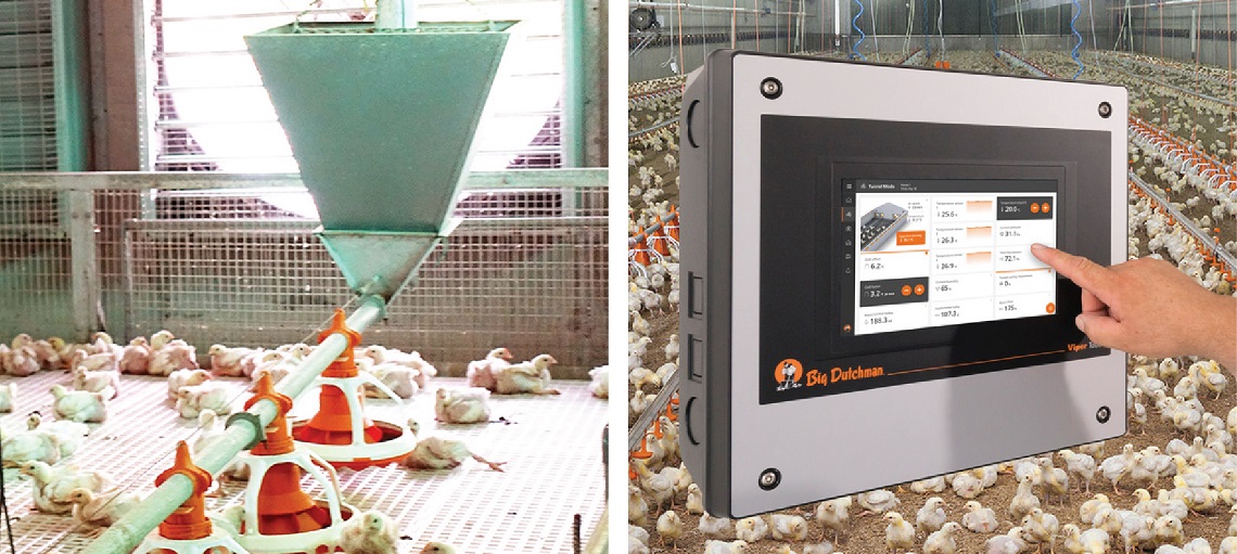 Precision feeding technologies can significantly enhance FCR ratio.