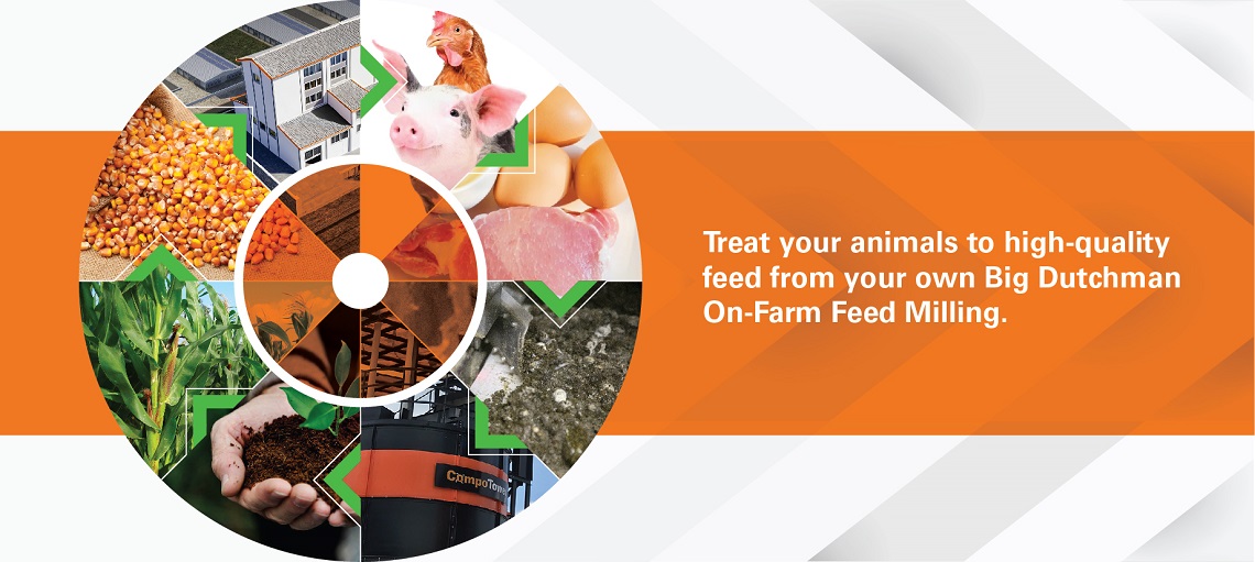 Feed on farm allows for tailored nutrition for livestock  