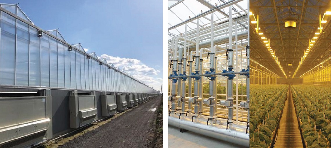 Precise environmental controls means crops are not affected by seasons.