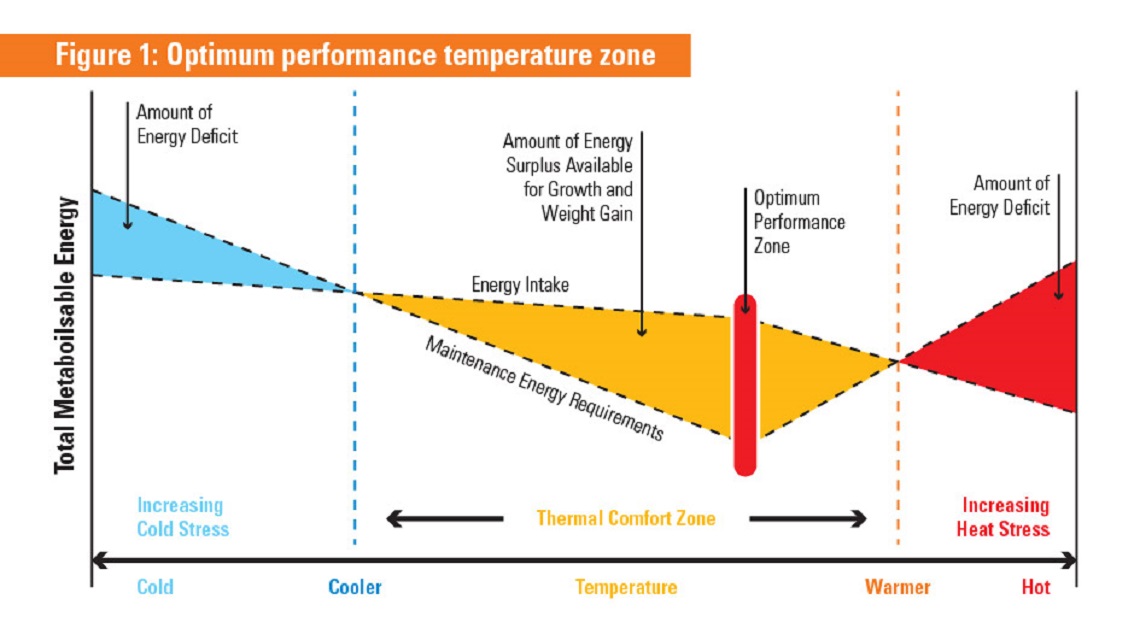 Poultry Heat Stress Ambient Temperature chart, Achieving Thermo-neutral Zone.
