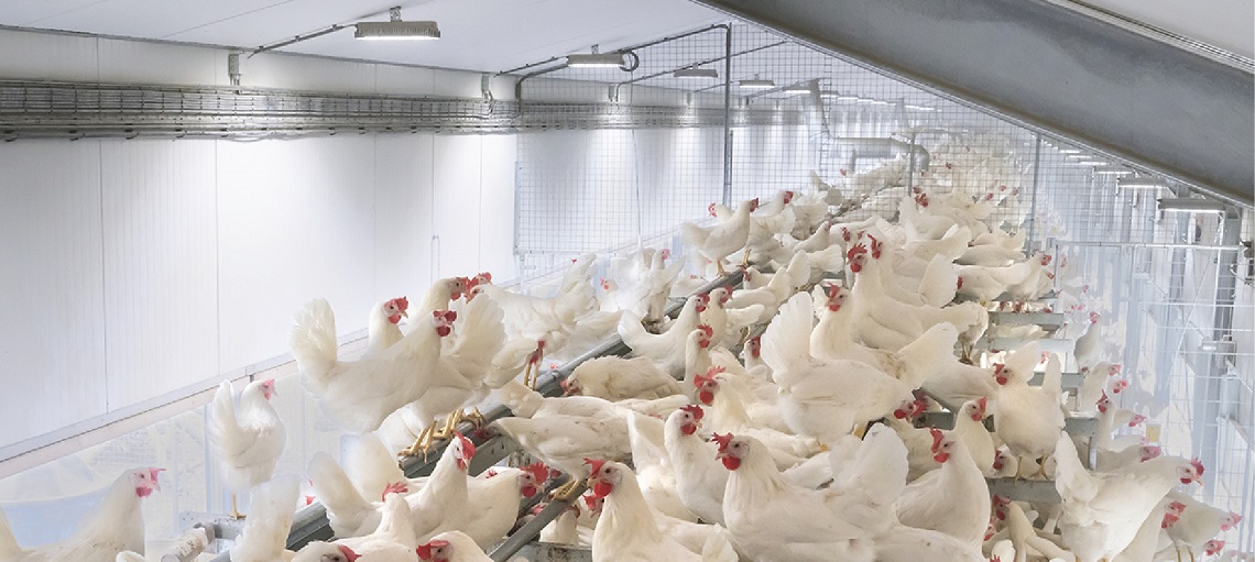 Energy-saving LED lighting