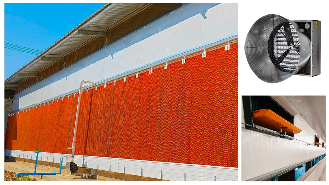 Improve layer performance with a robust ventilation system.