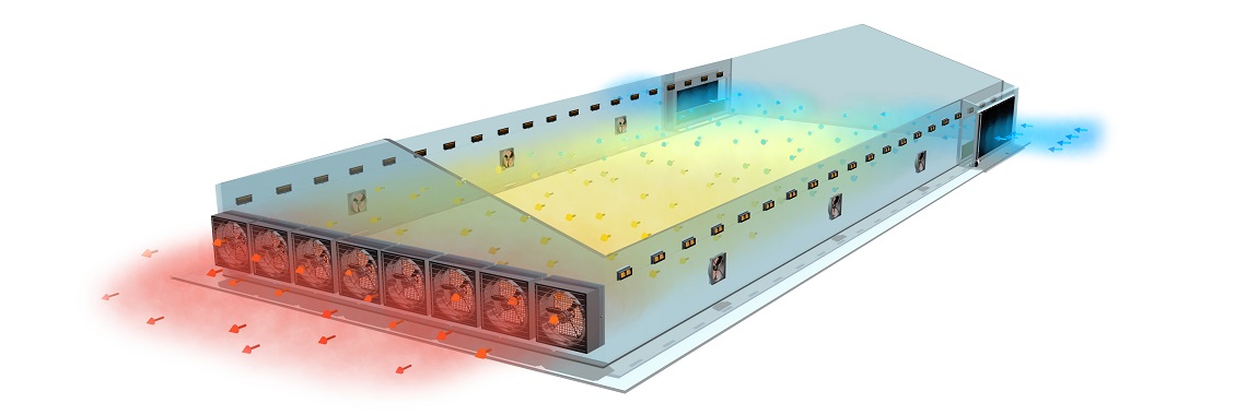 Climate-controlled poultry house with temperature indicators and a comfortable flock of hens.