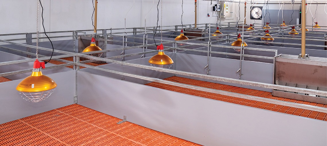 Big Dutchman’s proven penning systems keep pigs healthy and comfortable.