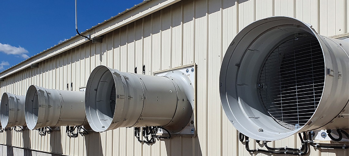 A robust ventilation system during nursery phase is essential for piglets. 
