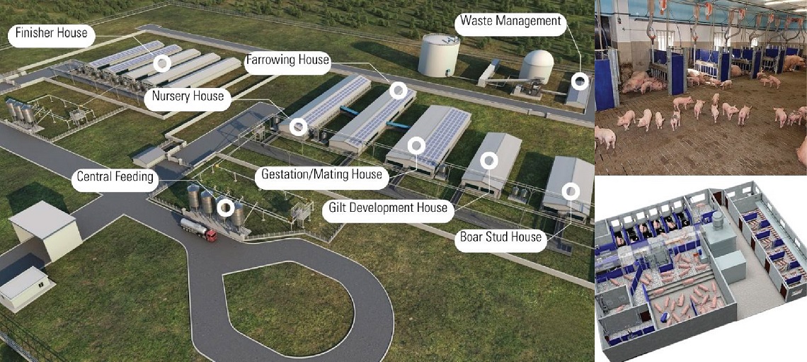A well-planned and secure farm with purpose-specific houses minimises outbreaks.