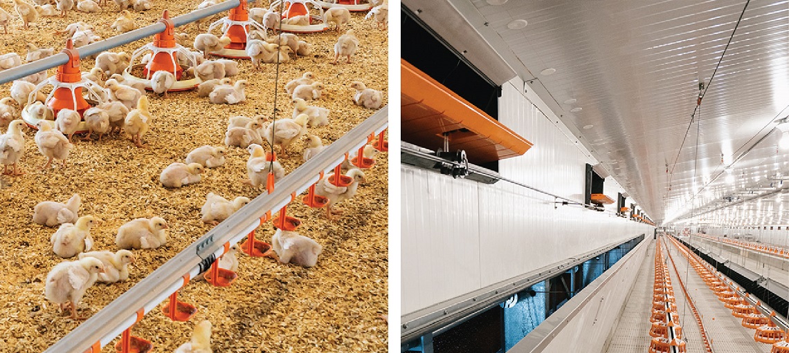 Integration of equipment and technology results in more efficient production. 
