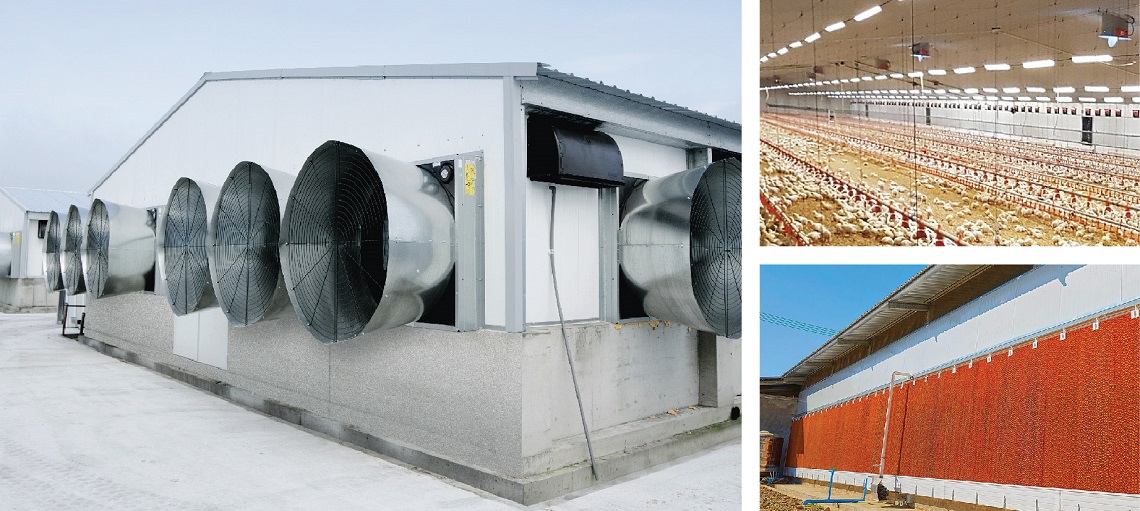 Advanced lighting, cooling and ventilation systems improves production and performance.