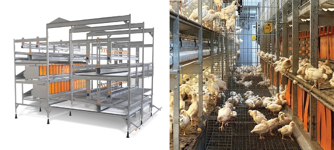 NATURA Life combines both the rearing and production phases in one system. 