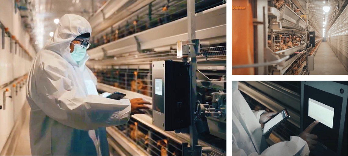 Vitality Monitoring System (VIM) identifies flock health issues early and effectively