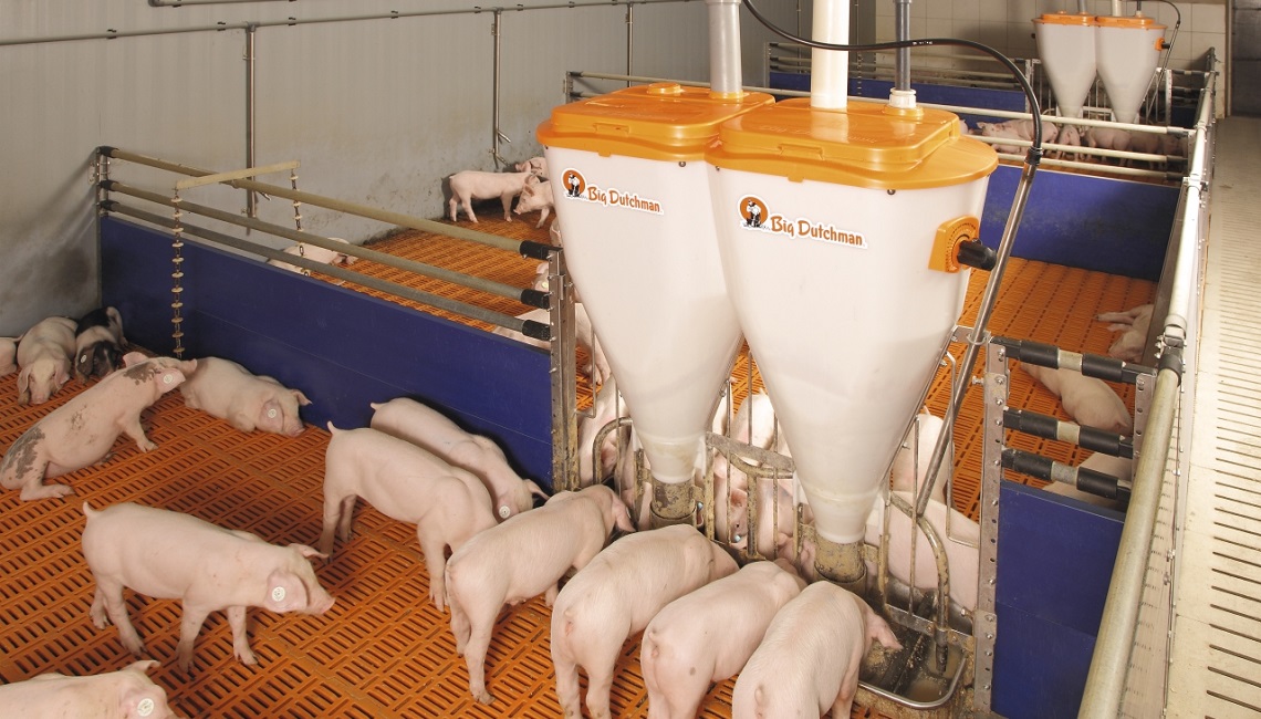 DryExactpro For piglet Rearing