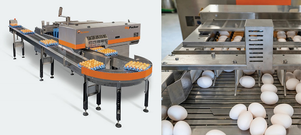 Big Packer is a solution to clean, transport and pack eggs automatically.