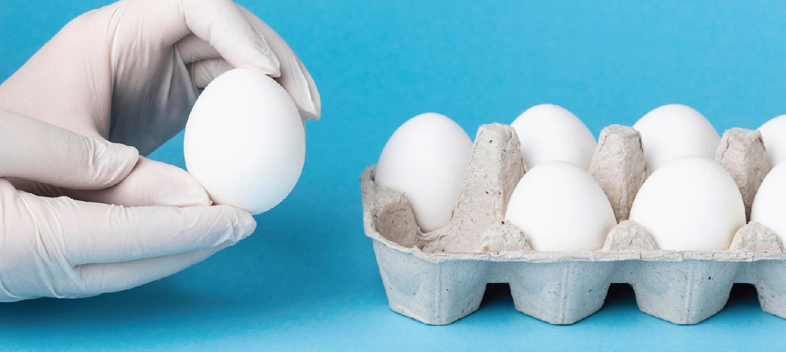 Egg weight according to industry standards means high nutritional content.