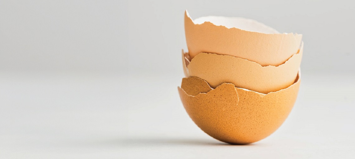 Egg shell thickness determines the resilience of egg during handling and transport.