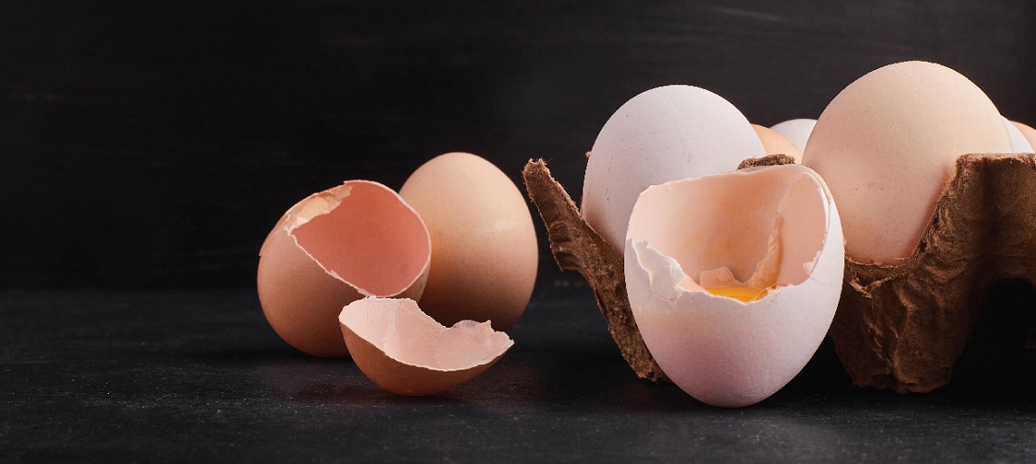 Shell breaking strength relates directly to the feed quality of layer hens.