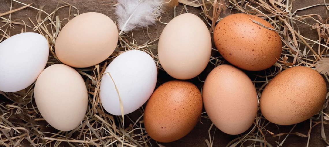 Various eggshell colours indicate the diverse preferences of consumers.