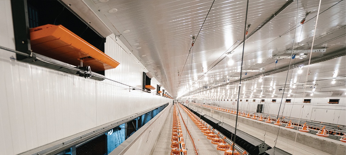 Climate-Specific Challenges