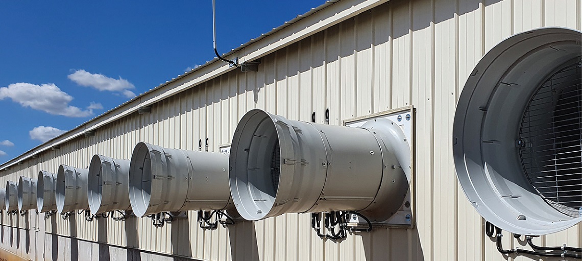 Proper ventilation is a critical factor in pig production success.