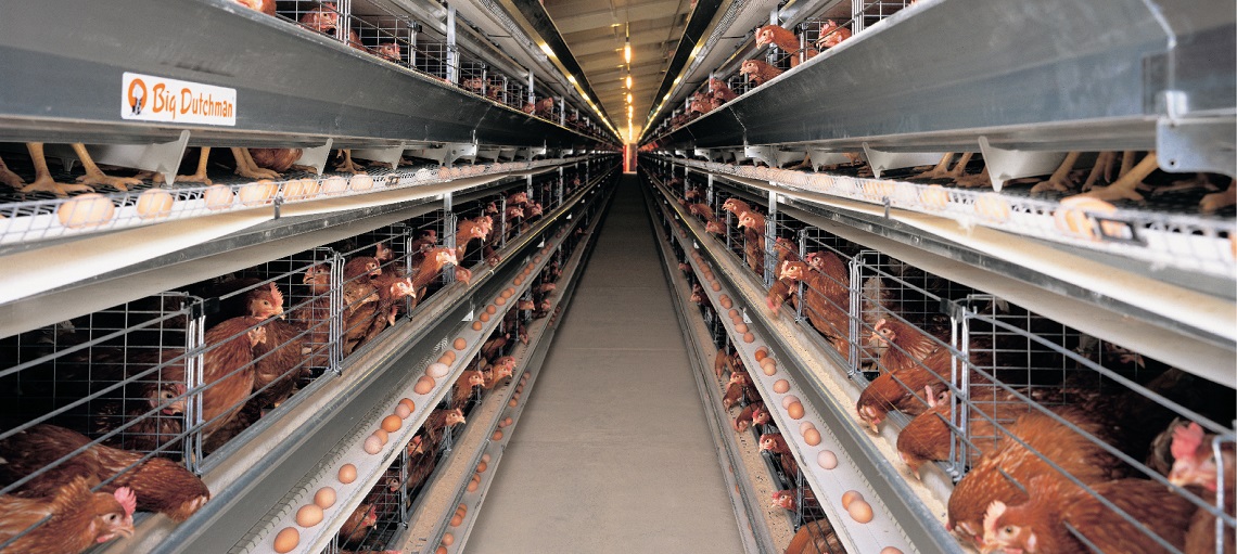 UNIVENT 600+ features all-round height increase for more room and improved ventilation.