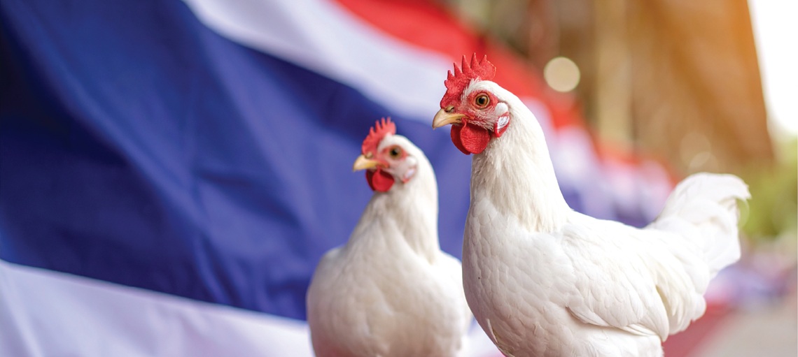 Thailand: Positioned to Capitalise