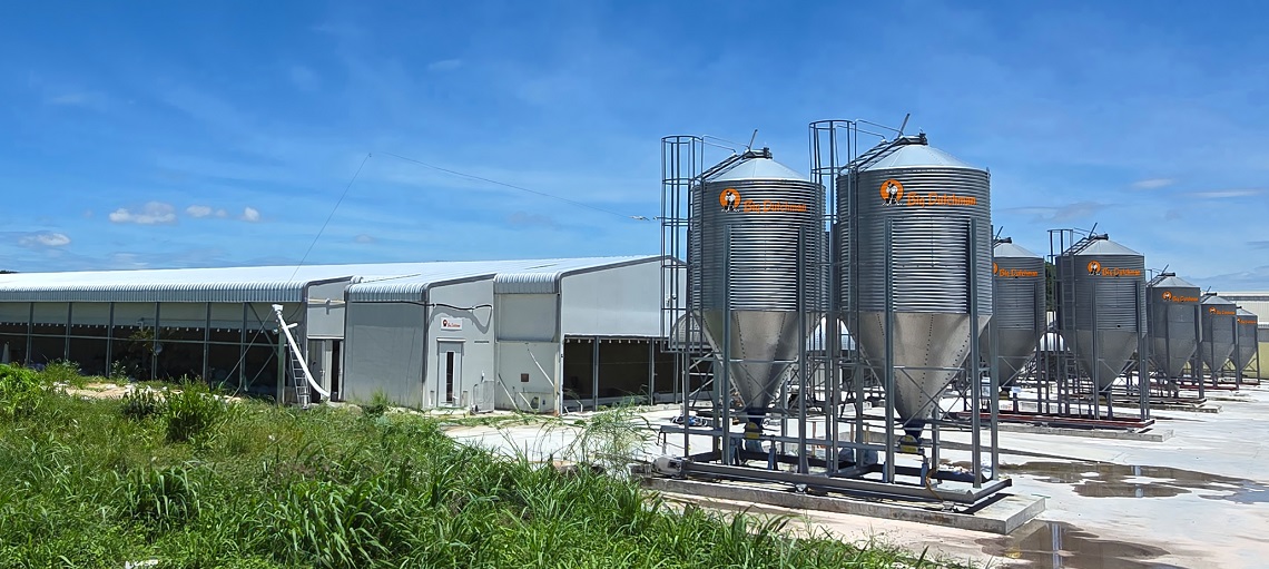 Completion of a 50,000-bird Turnkey Layer Farm in Cambodia