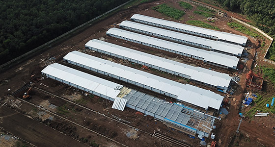 Dự án trang trại gà đẻ trứng