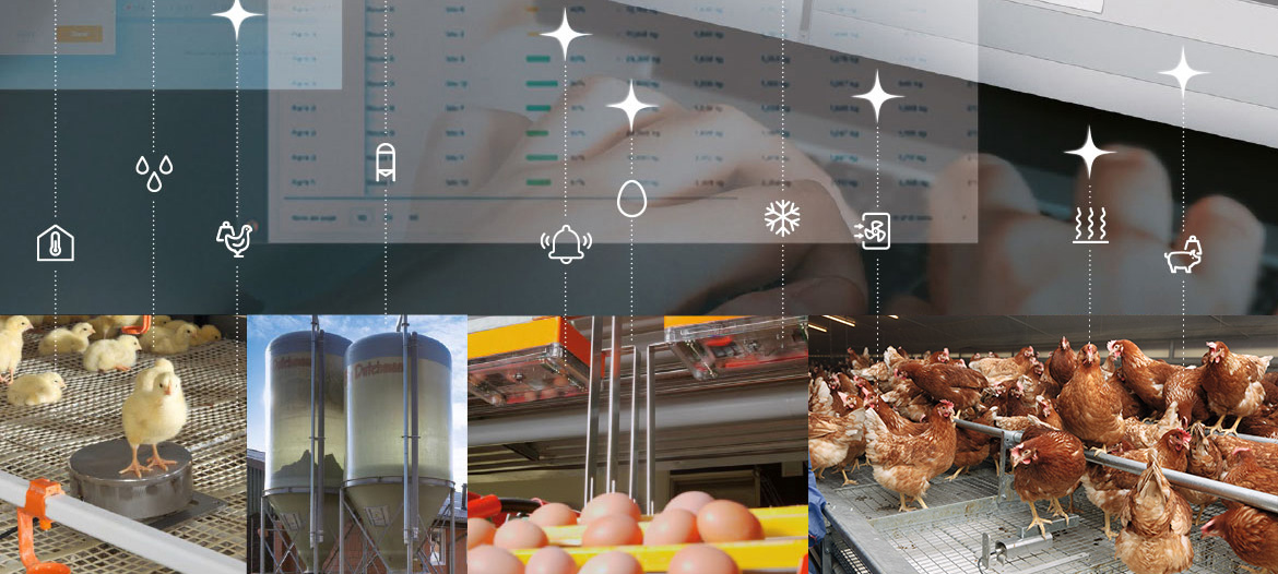 &lt;h2&gt;Production made more efficient, profitable and sustainable&lt;/h2&gt;
