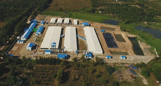 Các dự án chăn nuôi heo