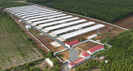 Các dự án chăn nuôi gia cầm